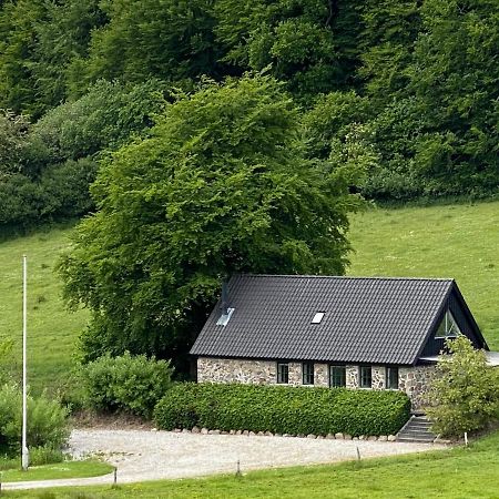 Stenhuset I Pilbrodalen Skanderborg Buitenkant foto